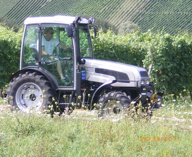 Dexheimer 510 Profiline in Wiese Silberner Traktor auf naturbelassener Wiese
